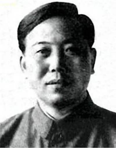 ｡