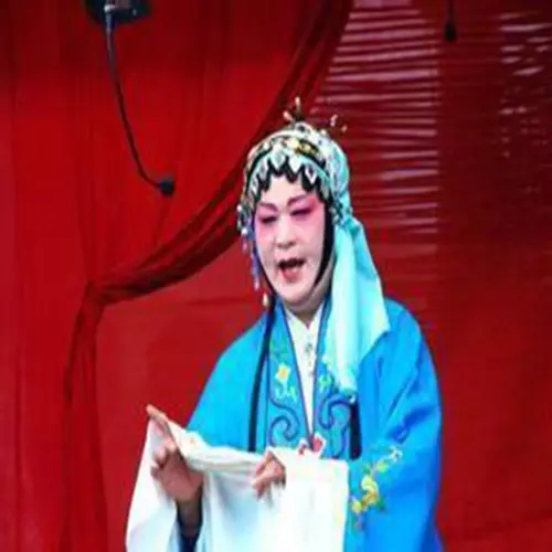 武道芳简介