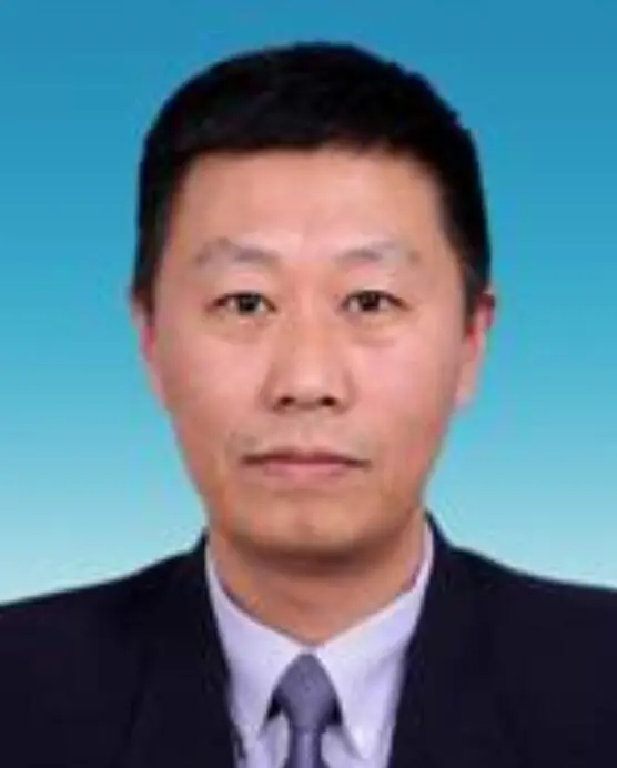 赵文简介