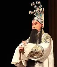 张善元简介
