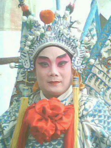 杨洋简介
