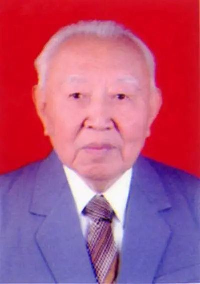 王振文简介