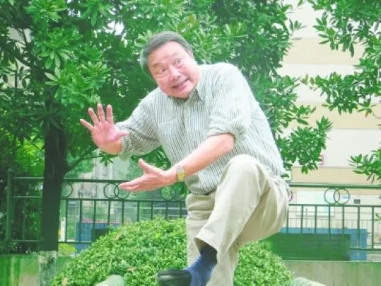 雷子文简介