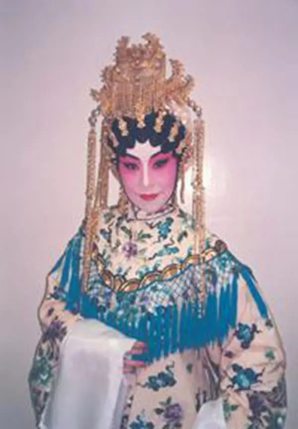 南凤简介