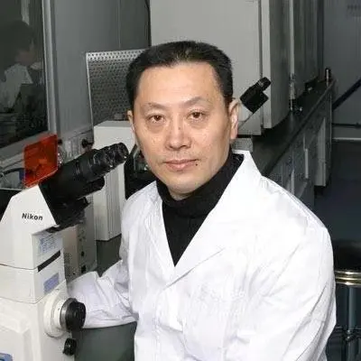 赵春华简介