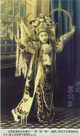 陈銮英简介