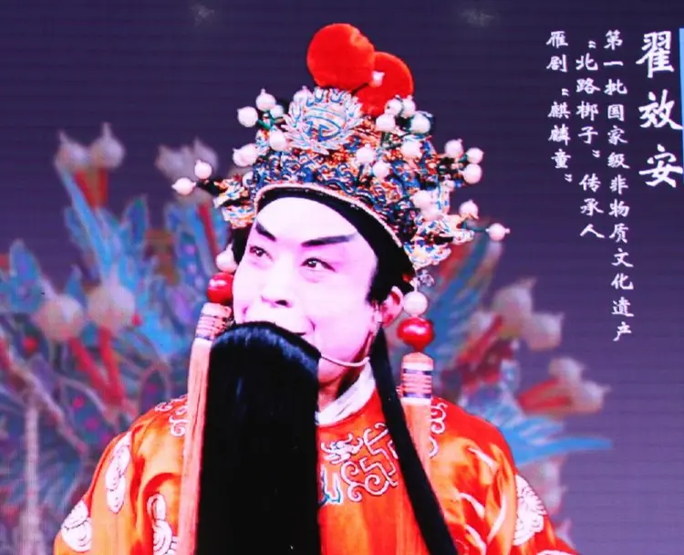 翟效安简介