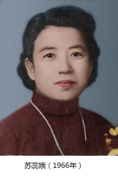苏蕊娥简介