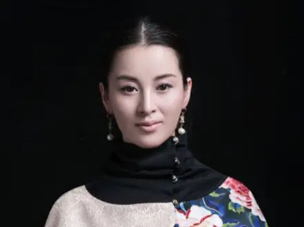 吴岚简介