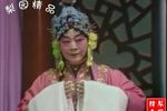 秦雪梅