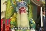 雷振海征南