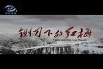 豫剧铡刀下的红梅 全场戏