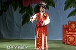豫剧常派再传弟子王爱民唱腔合辑