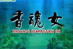 豫剧香魂女