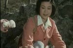 小白鞋说媒 桃园喜 上