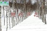豫剧鞭打芦花 高清全集