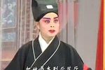 豫剧张枝茂刘墉二下南京 02集