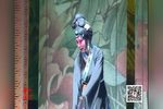 豫剧琵琶记 片段