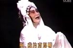 豫剧秦雪梅吊孝 片段