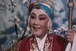 豫剧花枪缘 片段