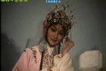 豫剧花枪缘 选段三 片段