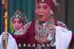 豫剧对花枪南营陈情