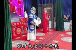 豫剧桃花庵九尽春回杏花开 片段