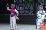 豫剧卖水表花 片段