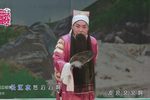 豫剧诸葛亮吊孝 片段