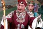 对花枪
