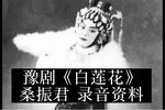 白莲花 片段