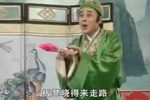 桂林彩调送情郎