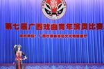 桂剧林冲夜奔