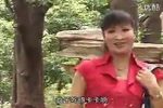 贪污腐败落法网
