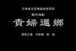 贵妇还乡 片段