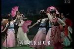 琼剧双蝶记 24