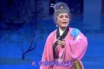 琼剧夜明珠 33