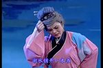 琼剧夜明珠 33