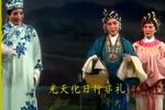 桃花井