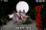 歌仔戏狂花飘云梦 16至35集