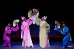 蝴蝶之恋