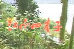 歌仔戏江南四才子 全40集