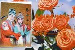 眉户戏花亭相会 全折