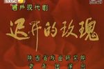 眉户戏迟开的玫瑰