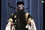 狸猫换太子
