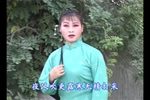 韩利霞名戏精选专辑