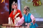 表花 赶坡 锁麟囊 火焰驹