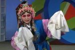 秦腔花亭相会