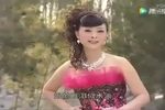 秦腔洪湖赤卫队 片段