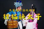 狸猫换太子